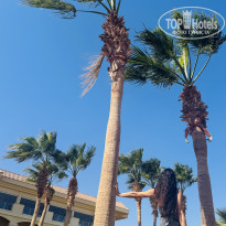 фото из отзыва ID 2672399