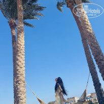 фото из отзыва ID 2672399