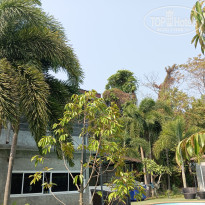 фото из отзыва ID 2672446