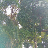 фото из отзыва ID 2672446