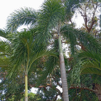 фото из отзыва ID 2672446