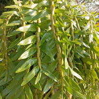 фото из отзыва ID 2672446