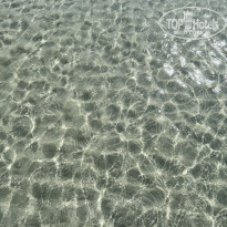 фото из отзыва ID 2672459