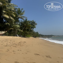 фото из отзыва ID 2672484