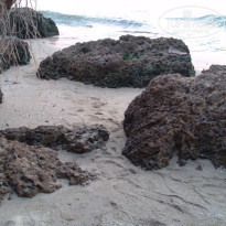 фото из отзыва ID 2672487