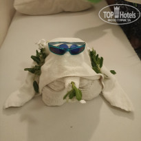 фото из отзыва ID 2672508