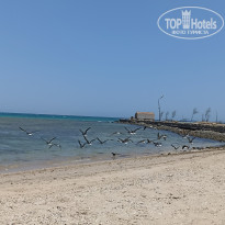 фото из отзыва ID 2672508