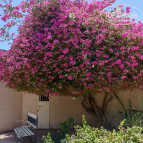 фото из отзыва ID 2672508