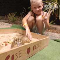 фото из отзыва ID 2672508