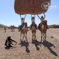 фото из отзыва ID 2672508