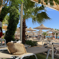 фото из отзыва ID 2672524