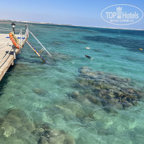 фото из отзыва ID 2672527