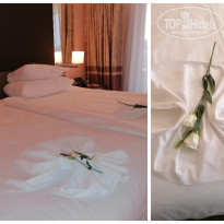 фото из отзыва ID 2672532