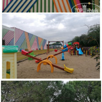 фото из отзыва ID 2672532