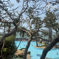 фото из отзыва ID 2672546