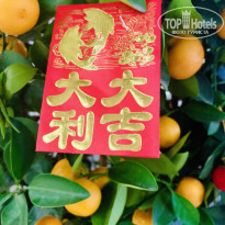 фото из отзыва ID 2672565