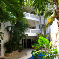 фото из отзыва ID 2672566