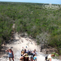 фото из отзыва ID 2672566