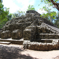 фото из отзыва ID 2672566