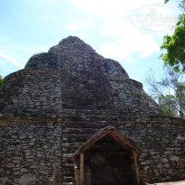 фото из отзыва ID 2672566