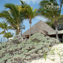 фото из отзыва ID 2672566