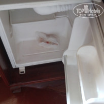 фото из отзыва ID 2672628