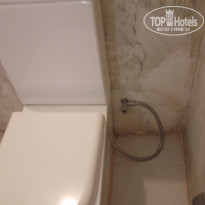 фото из отзыва ID 2672628