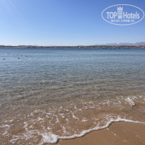 фото из отзыва ID 2672292