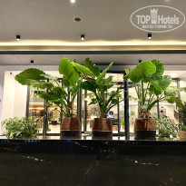 фото из отзыва ID 2672560