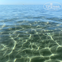 фото из отзыва ID 2672560