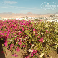 фото из отзыва ID 2672646