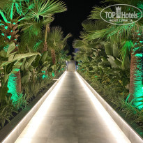 фото из отзыва ID 2672560