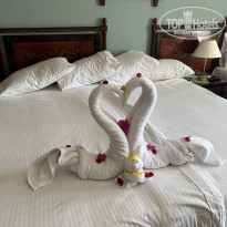 фото из отзыва ID 2672661