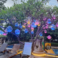 фото из отзыва ID 2672662