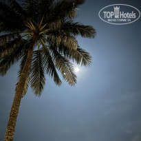 фото из отзыва ID 2672676