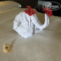 фото из отзыва ID 2672676