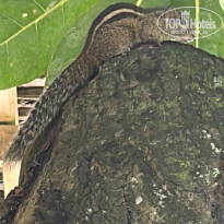 фото из отзыва ID 2672676