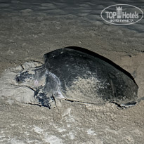 фото из отзыва ID 2672676