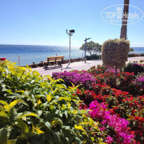 фото из отзыва ID 2672729