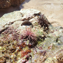 фото из отзыва ID 2672729