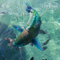 фото из отзыва ID 2672729