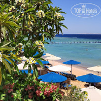 фото из отзыва ID 2672729