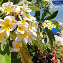 фото из отзыва ID 2672729