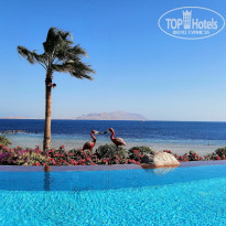 фото из отзыва ID 2672729