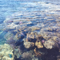 фото из отзыва ID 2672729