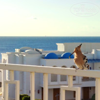 фото из отзыва ID 2672729