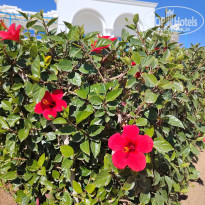 фото из отзыва ID 2672729