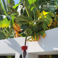 фото из отзыва ID 2672731