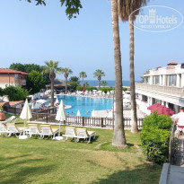 фото из отзыва ID 2672744