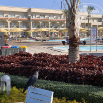 фото из отзыва ID 2671676